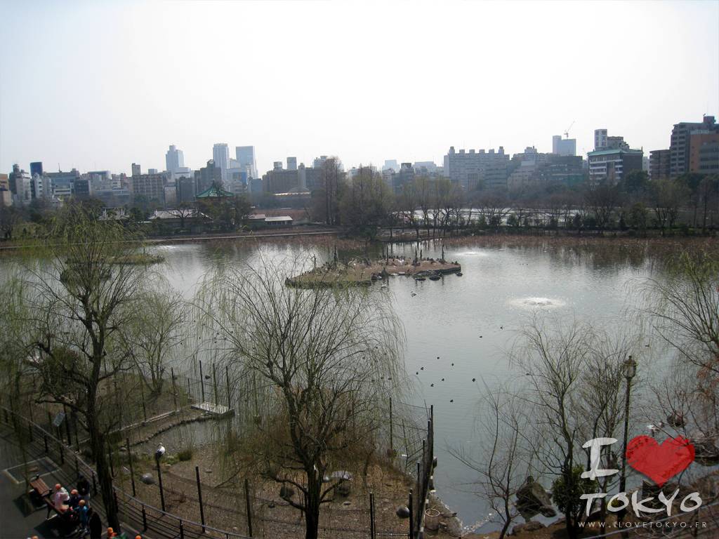 Etang Shinobazu dans le parc du Ueno
