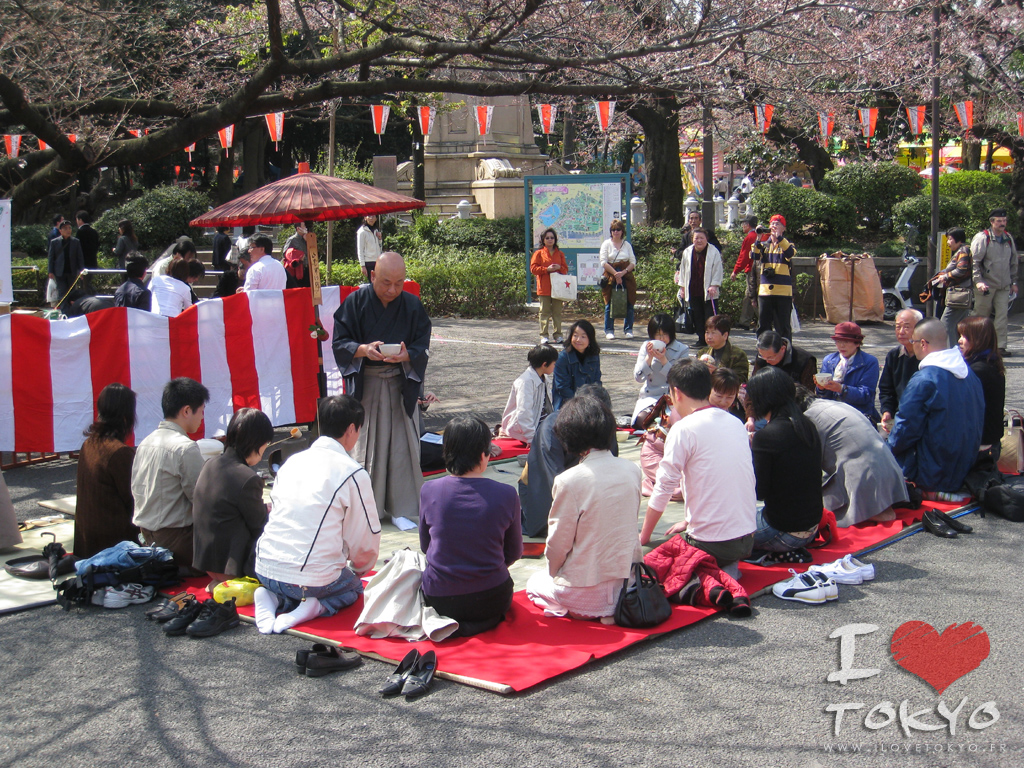Les japonais pratiquent "hanami" qui consistent à contempler les fleurs. En réalité ils picolent !