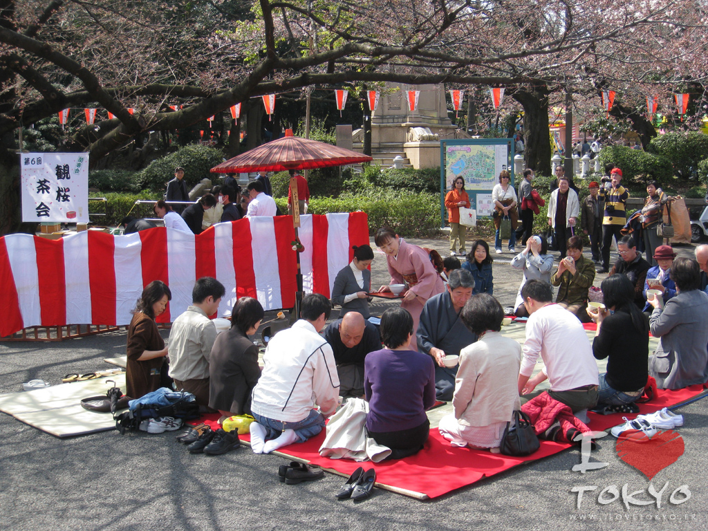 Les japonais pratiquent "hanami" qui consistent à contempler les fleurs