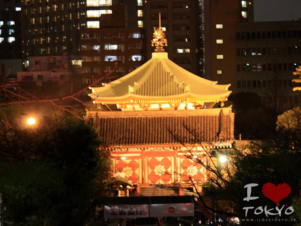 Parc de Ueno la nuit