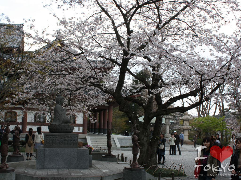 Temple Hase Dera à Kamakura