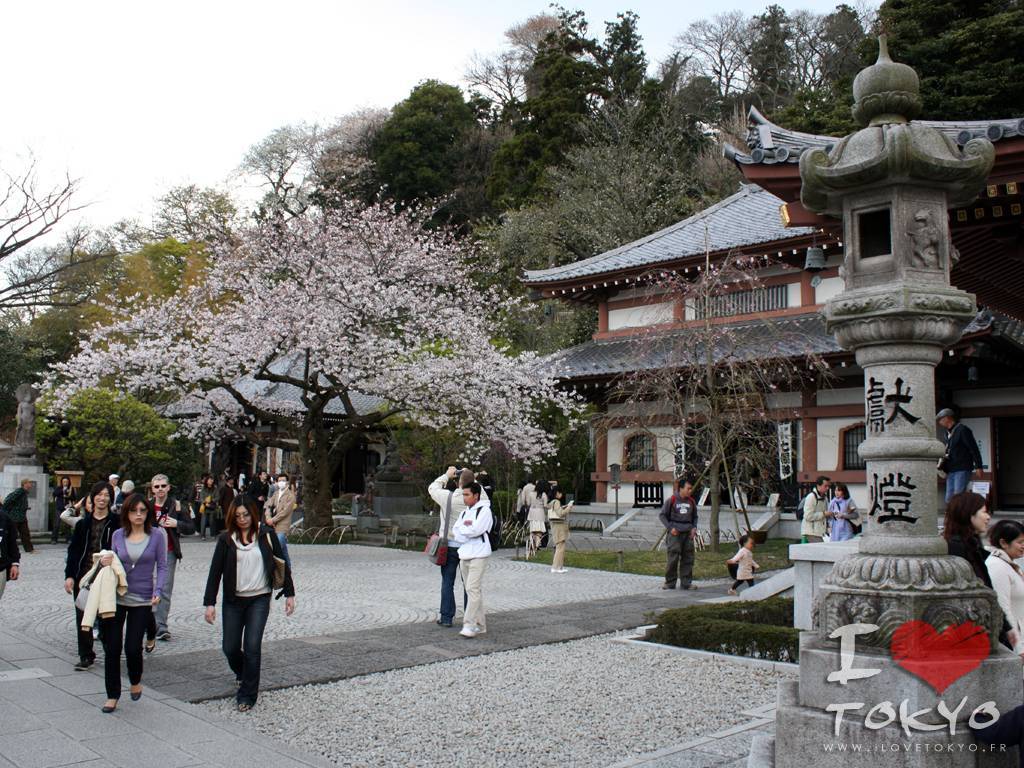 Temple Hase Dera à Kamakura