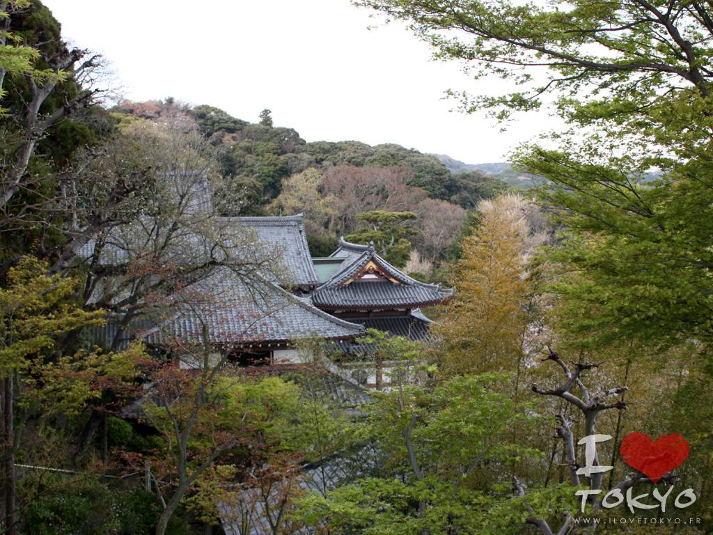 Temple Hase Dera à Kamakura