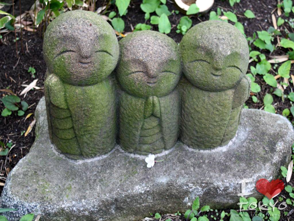 Les petits bonzus tout kawaii